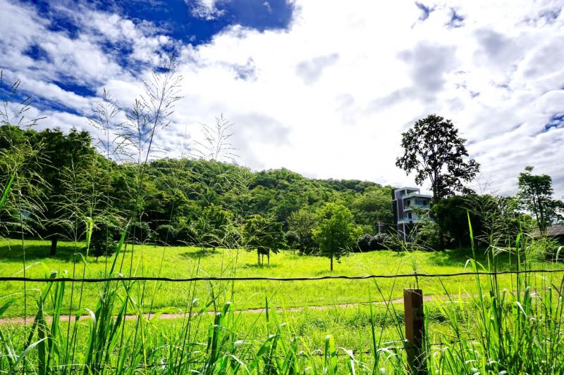 ที่ดิน เขาใหญ่ - Khaoyai For Sale