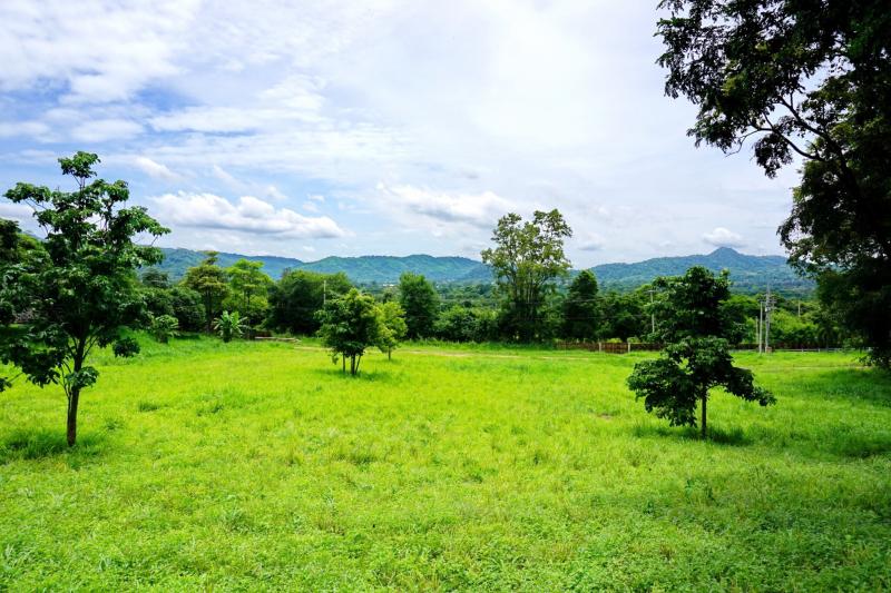 ที่ดิน เขาใหญ่ - Khaoyai For Sale