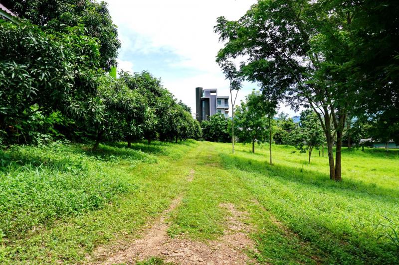 ที่ดิน เขาใหญ่ - Khaoyai For Sale